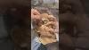 Extremely Stunning Signed P. Imans Paris Wax Head Glas Eyes, Hair Lifesize RARE